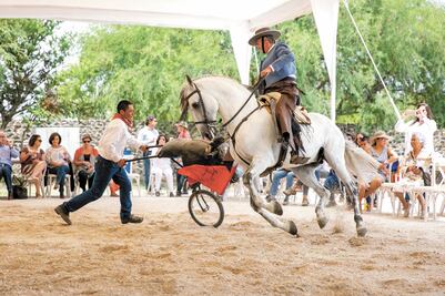 Develan "El valle de Bernal", de Jorge Carral 