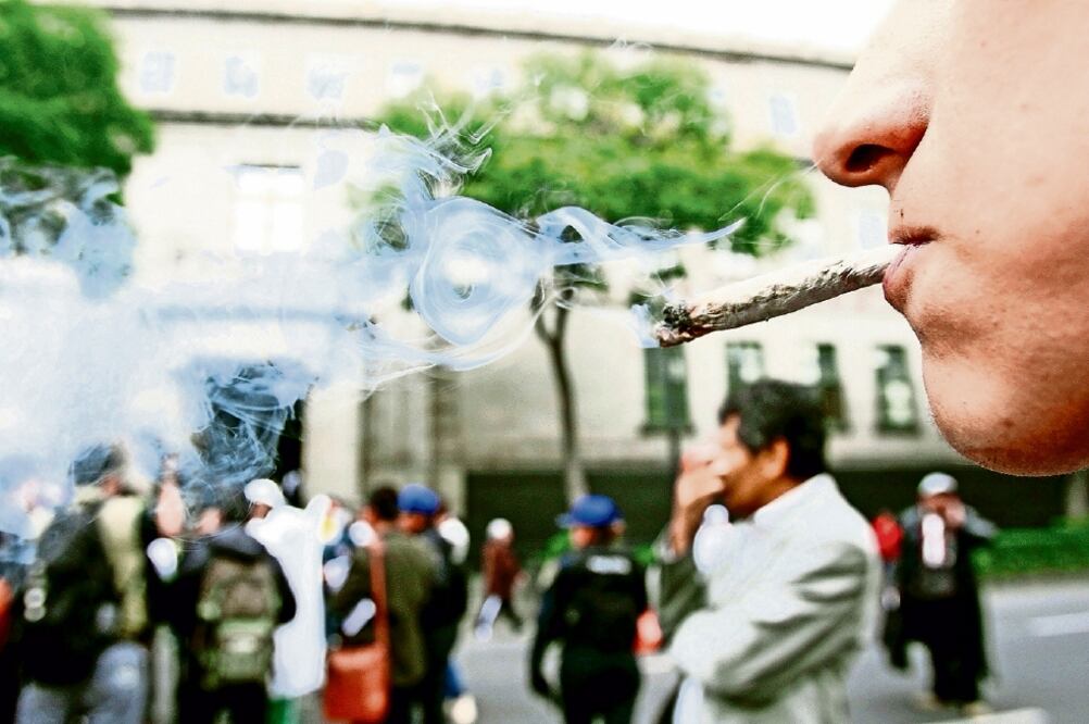 La encuesta del Centro de Estudios Sociales y de Opinión Pública de la Cámara Baja reveló que 64% cree que es fácil conseguir marihuana en el país (ARCHIVO EL UNIVERSAL)