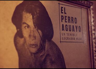 Un México Perro, el documental del Perro Aguayo ya tiene fecha de estreno nacional