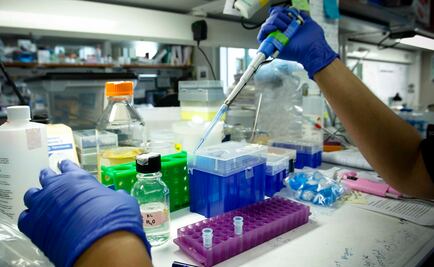 Inteligencia artificial reduciría efectos tóxicos de fármacos en tumores cerebrales