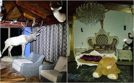 Mansiones con lagos artificiales, autos de lujo y animales exóticos, lo asegurado a la Familia Michoacana en Edomex