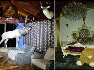 Mansiones con lagos artificiales, autos de lujo y animales exóticos, lo asegurado a la Familia Michoacana en Edomex