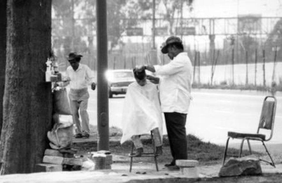 Los peluqueros “de paisaje” de avenida Zaragoza 