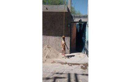 Inician investigación por perro colgado en SLP