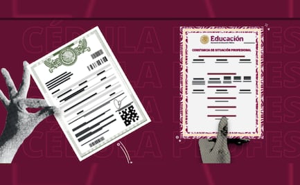 Constancia de Situación Profesional, el nuevo "CV digital"; así puedes obtenerla