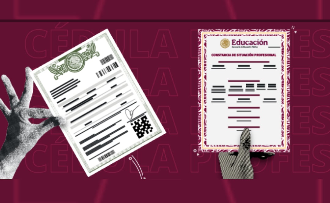 Constancia de Situación Profesional (27/01/2026). Foto: SEP