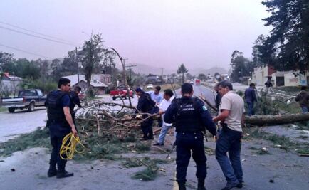 Vientos dejan dos mil casas dañadas y árboles caídos en Veracruz
