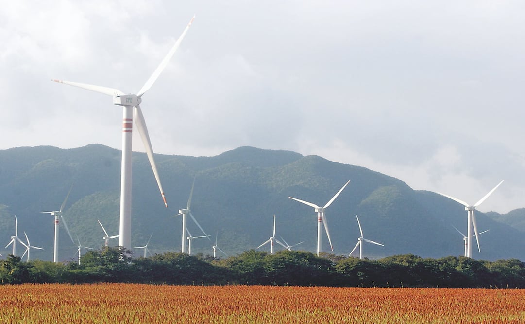 Un reporte de la Organización Latinoamerica de la Energía advirtió que el sector energético de la región es altamente sensible a los efectos del cambio climático. Foto: Archivo / EL UNIVERSAL