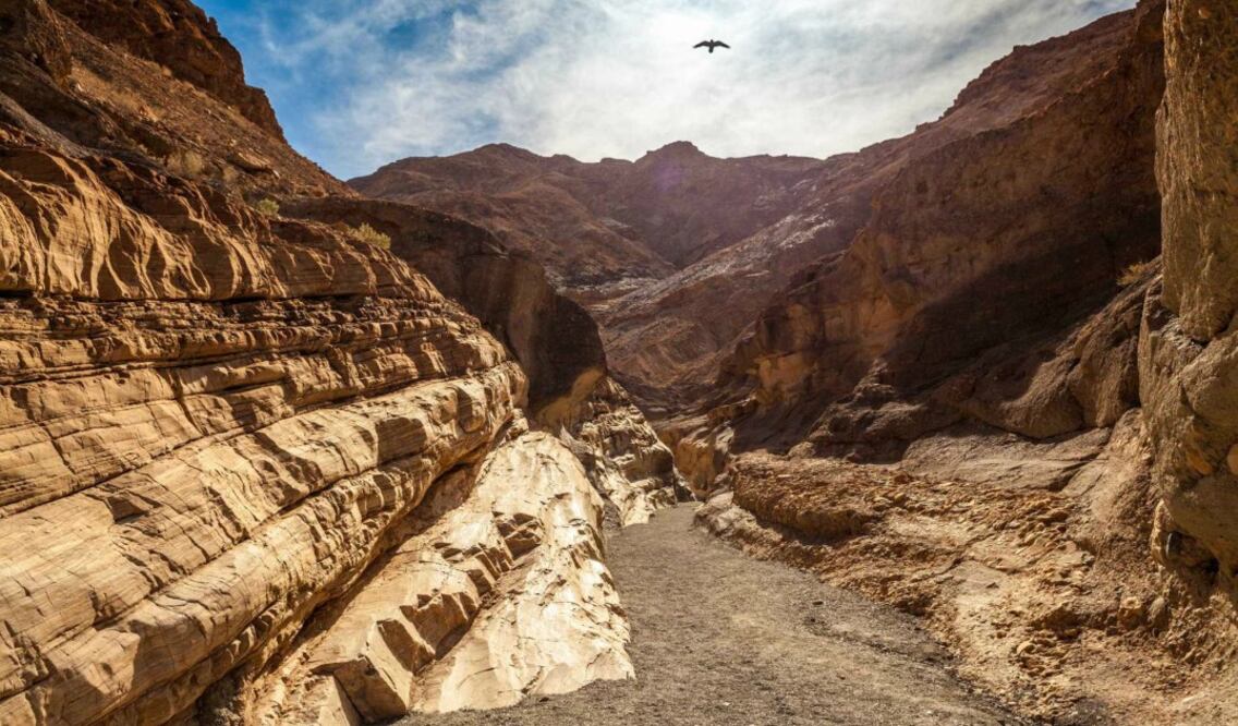 Death Valley ha sido dañado por turistas en incontables ocasiones. (Foto: Istock)