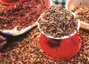 Los nutrientes que aportan los insectos comestibles