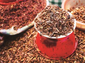 Los nutrientes que aportan los insectos comestibles