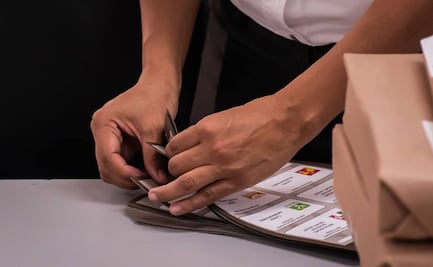 Tribunal Electoral perfila declarar validez de elección presidencial; no habría intervención de AMLO