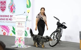 Brugada presentará las primeras mil 500 bicicletas renovadas de Ecobici; inversión ascendió a más de 2 mil 400 mdp, destaca