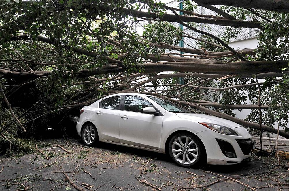 Archivo / EL UNIVERSAL