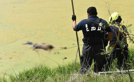 Hallan cuerpo flotando en aguas verdes de lago en Cuautitlán Izcalli
