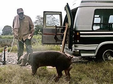 Mr. Pig hace nueva parada