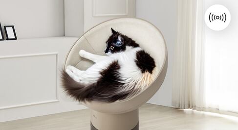 ¿Eres alérgico a los gatos? Con LG AeroCat ya podrás tener un michi en casa 
