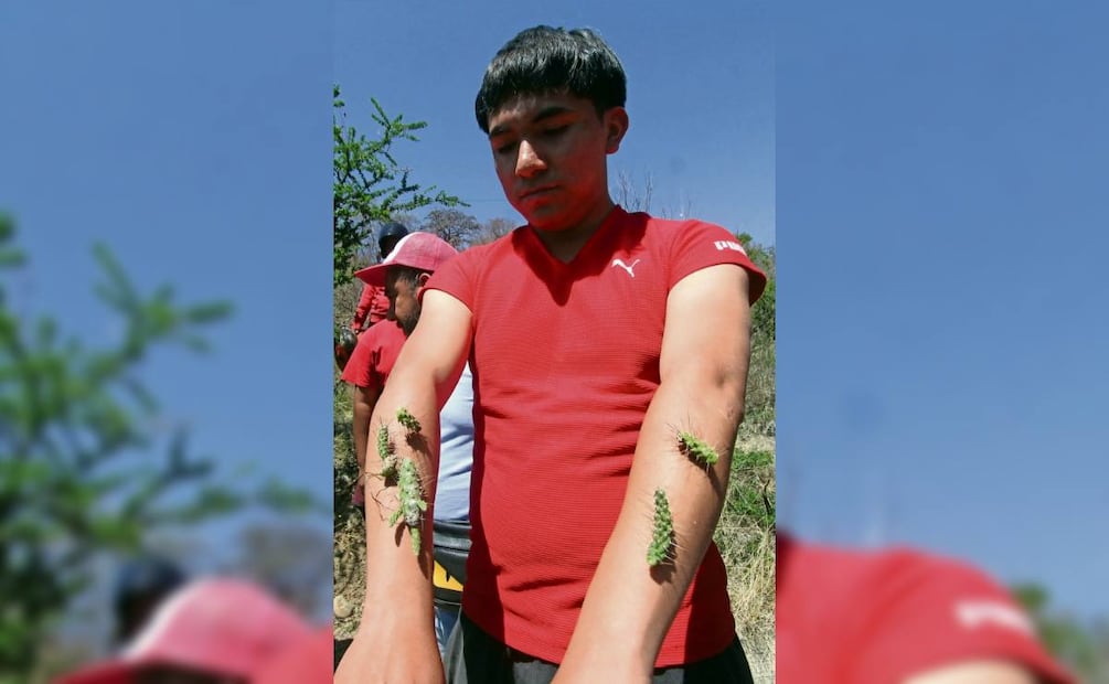 Los jóvenes participantes caminarán bajo el sol por más de dos horas. Foto: Omar Contreras / EL UNIVERSAL