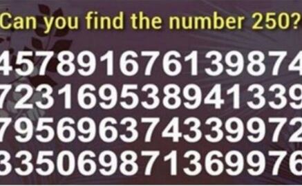 Reto Viral. Localiza el número 250
