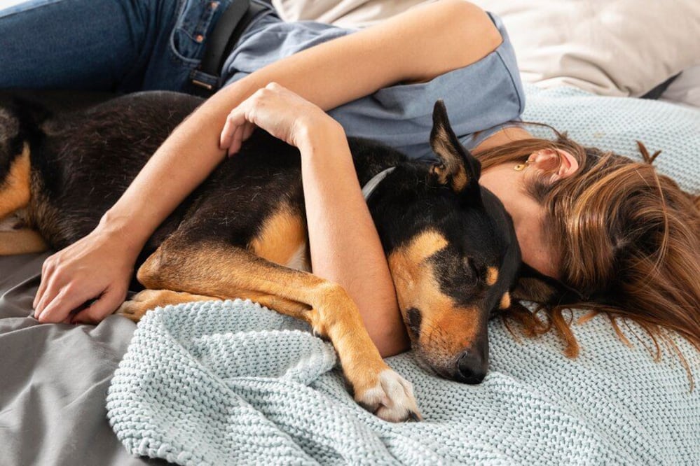 ¿Te gusta dormir con tu mascota en la cama? Así puedes eliminar el pelo que deja en las cobijas. Fuente: Freepik.