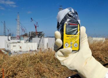 Fukuyama, la ciudad de Japón que está alerta por un "gato radiactivo"