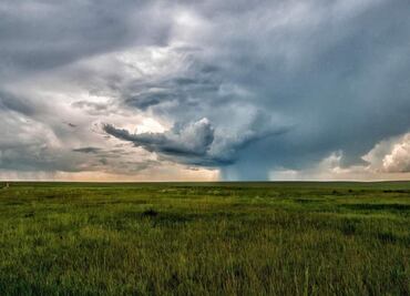 Lluvias en Chihuahua benefician a unas 400 mil hectáreas de cultivos; destaca plantío de sorgo, frijol y avena