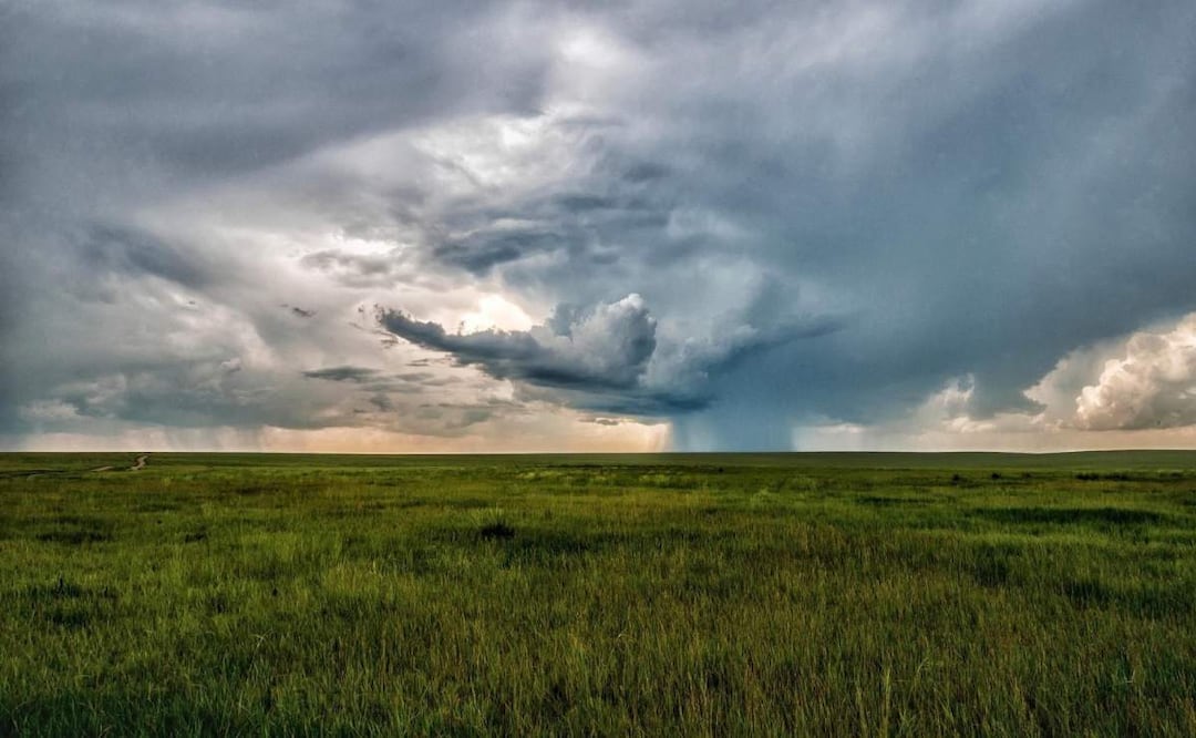 El medio rural ha sido altamente beneficiado por las lluvias en la última semana en el estado de Chihuahua (26/06/2025). Foto: Especial