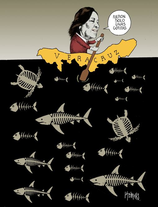 Cartón de KEMCHS