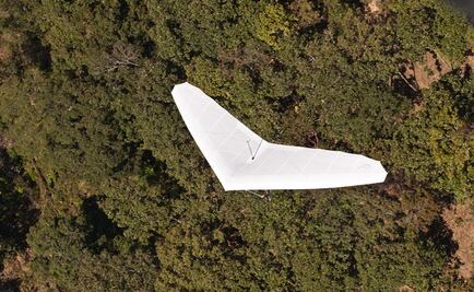 Parapente cae con instructor y alumna en Veracruz
