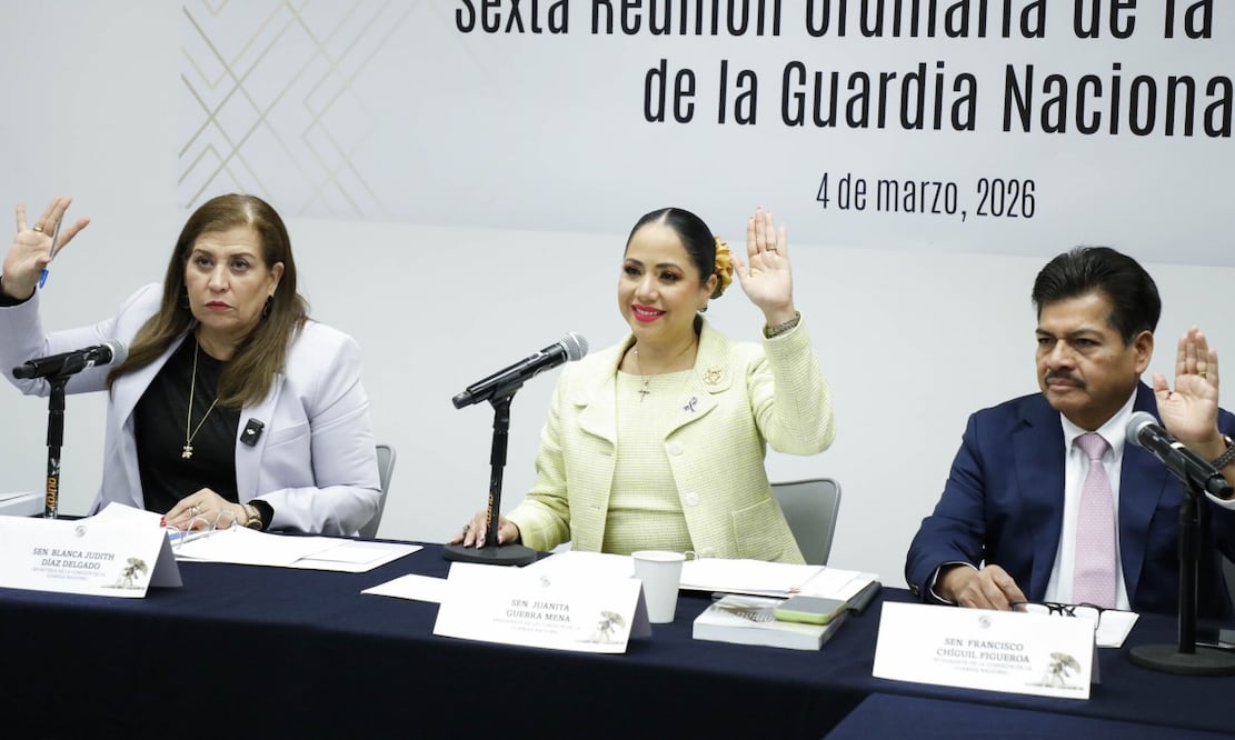 Comisión de la Guardia Nacional; preside la senadora Juanita Guerra. Foto: Senado de la República.