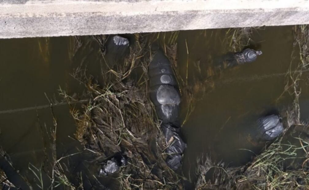 Localizan 10 cuerpos flotando en canal pluvial de Guadalajara