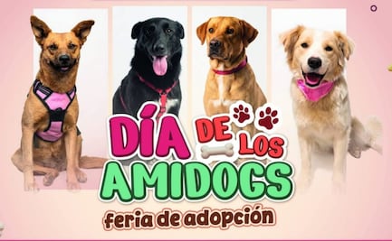 ¿Quieres tener un mejor amigo peludo? Acude a la alcaldía Gustavo A Madero; podrás adoptar a perritos abandonados en la Basílica