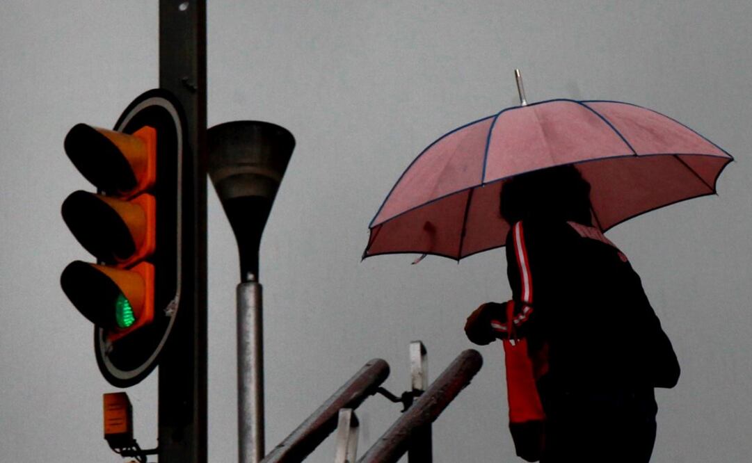 Foto: Archivo. EL UNIVERSAL