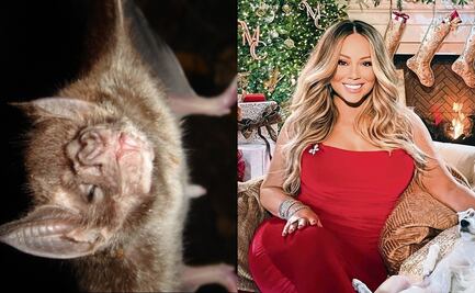 Los murciélagos superan en gama de sonidos a la cantante Mariah Carey, la reina de la navidad 