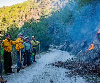 Cuando la voluntad sopla más fuerte que el fuego