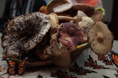 Cuándo y dónde será la Expo Feria del Hongo de Senguio 2025