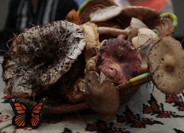 Cuándo y dónde será la Expo Feria del Hongo de Senguio 2025