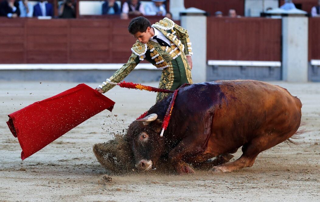 Las islas españolas de Baleares aprobaron en 2017 una ley que prohíbe herir y matar a los toros durante las corridas. FOTO: Archivo/EL UNIVERSAL/