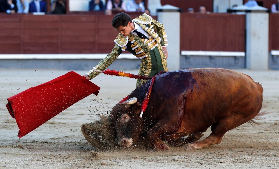 Las islas españolas de Baleares aprobaron en 2017 una ley que prohíbe herir y matar a los toros durante las corridas. FOTO: Archivo/EL UNIVERSAL/