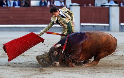 Diputada propone corridas de toros sin violencia ni muerte en la CDMX