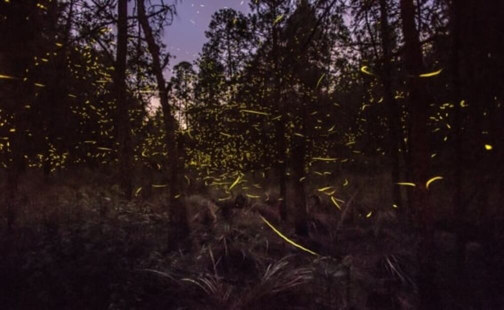 10 atractivos que demuestran que Tlaxcala SÍ existe 