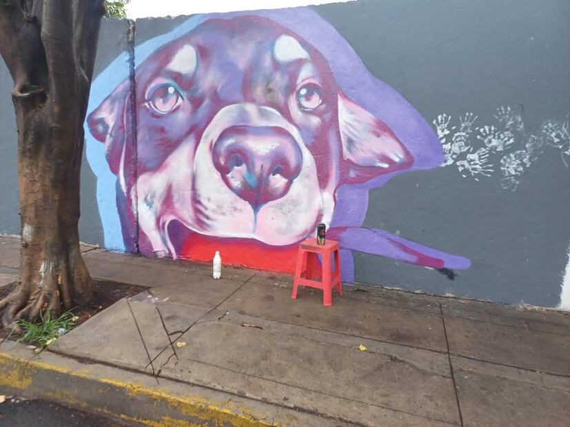 FOTO: Especial/ EL UNIVERSAL/