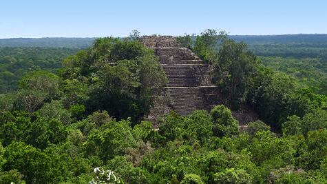 Calakmul, resguardo natural en riesgo por Tren Maya