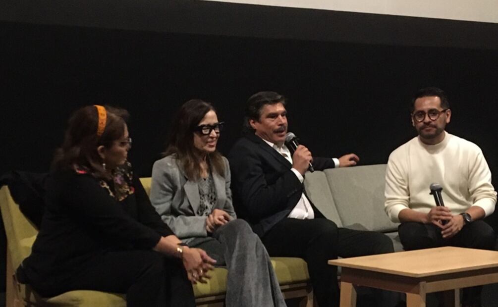 En la historia escrita por el también actor Alberto Estrella, Gómez interpreta a un veterano profesor que intenta, en vano, hacer que sus alumnos amen al arte y la literatura.