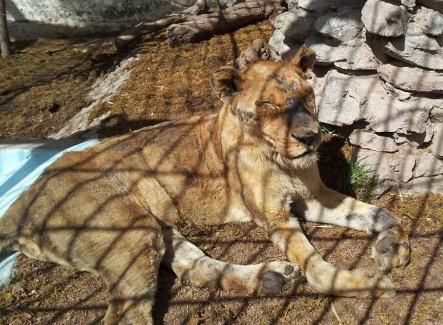 Archivo / EL UNIVERSAL