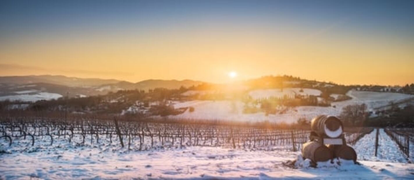 Descubre cuál es el famoso vino de hielo