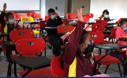 SEP pone fin a los grados escolares. Conoce las 6 fases de aprendizaje que propone 