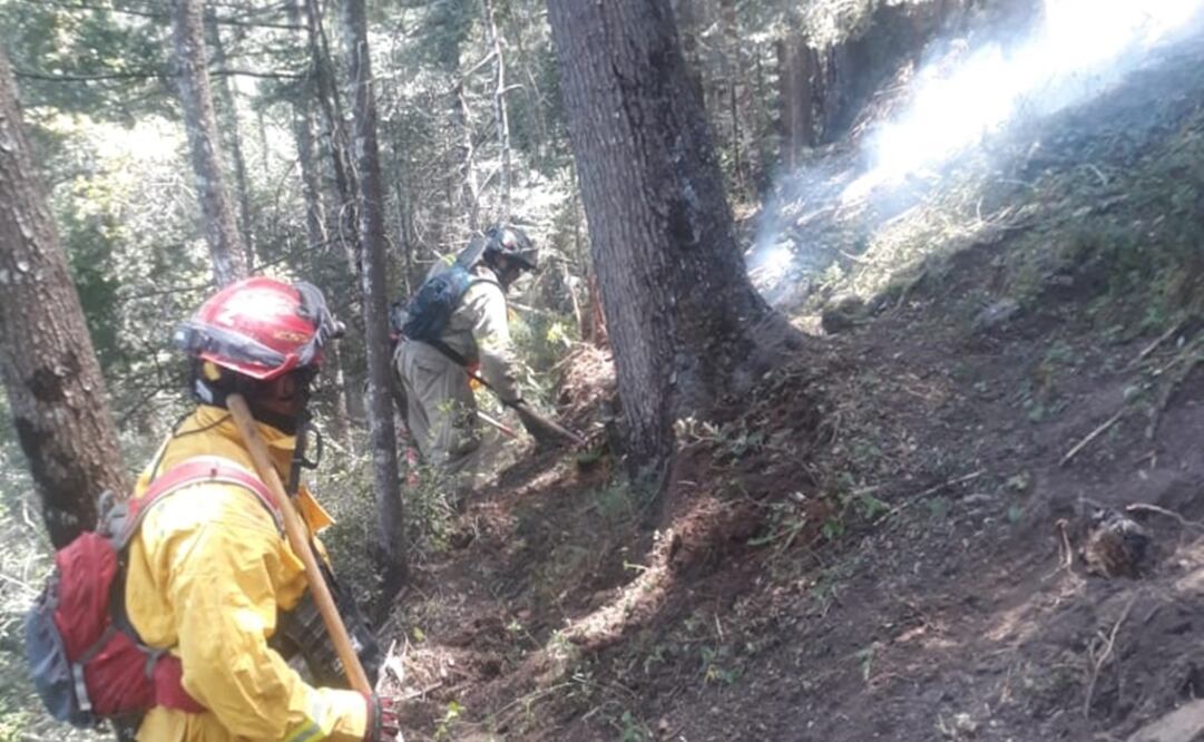 Comisión Nacional Forestal y de Protección Civil de Santiago realizan trabajos para sofocar el fuego (ESPECIAL)