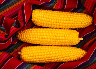 Cómo cocer los elotes más rápido para ahorrar gas