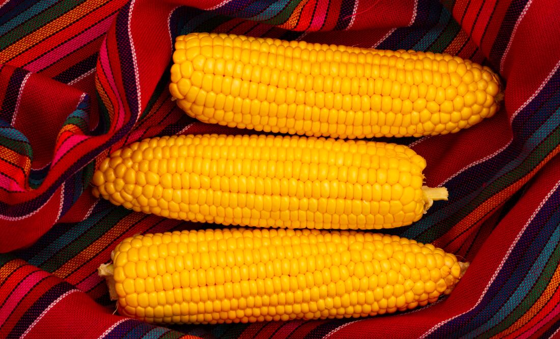 Los elotes cocidos son un clásico de la gastronomía mexicana, presentes en mercados, parques y fiestas populares. Foto: Freepik